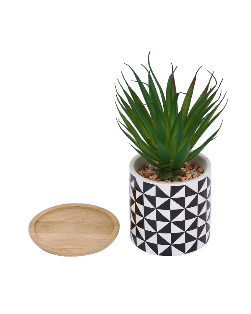 Seaside Zen Succulents Artificial Plant with Ceramic Pot & Wooden Coaster | 7 inches