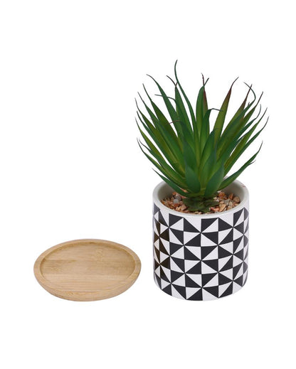 Seaside Zen Succulents Artificial Plant with Ceramic Pot & Wooden Coaster | 7 inches