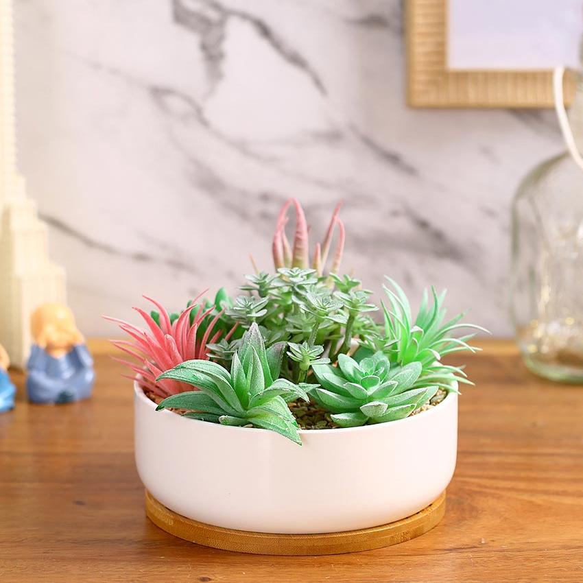 Charm Succulents Artificial Plant with Ceramic Pot & Wooden Coaster | 6 inches