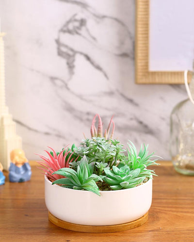 Charm Succulents Artificial Plant with Ceramic Pot & Wooden Coaster | 6 inches