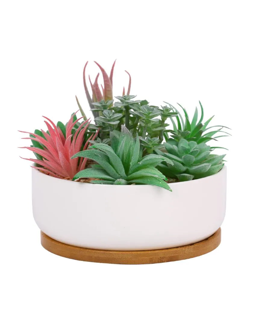 Charm Succulents Artificial Plant with Ceramic Pot & Wooden Coaster | 6 inches