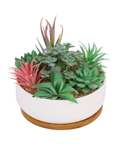 Charm Succulents Artificial Plant with Ceramic Pot & Wooden Coaster | 6 inches