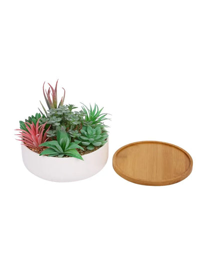 Charm Succulents Artificial Plant with Ceramic Pot & Wooden Coaster | 6 inches