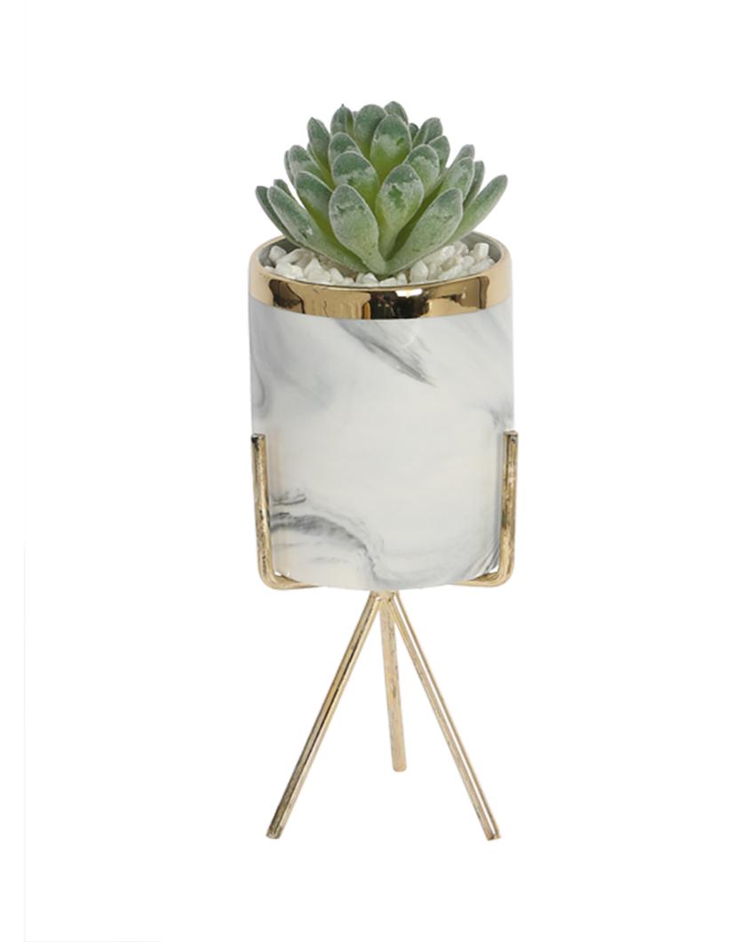 Cosmopolitan Succulents Artificial Plant with Ceramic Pot & Metal Tripod Stand | 8 inches