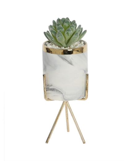 Cosmopolitan Succulents Artificial Plant with Ceramic Pot & Metal Tripod Stand | 8 inches