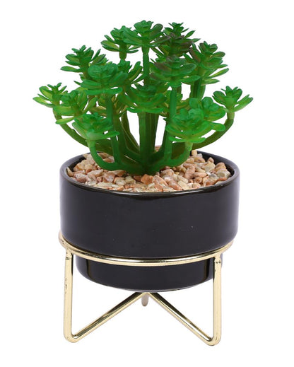 Sleek Succulents Artificial Plant with Ceramic Pot & Metal Tripod Stand | 6 inches