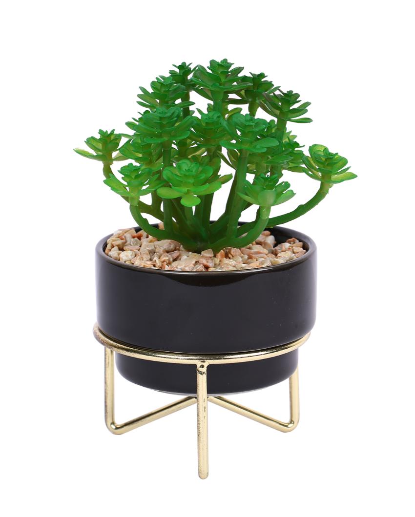 Sleek Succulents Artificial Plant with Ceramic Pot & Metal Tripod Stand | 6 inches