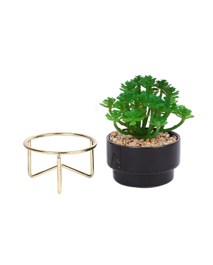 Sleek Succulents Artificial Plant with Ceramic Pot & Metal Tripod Stand | 6 inches