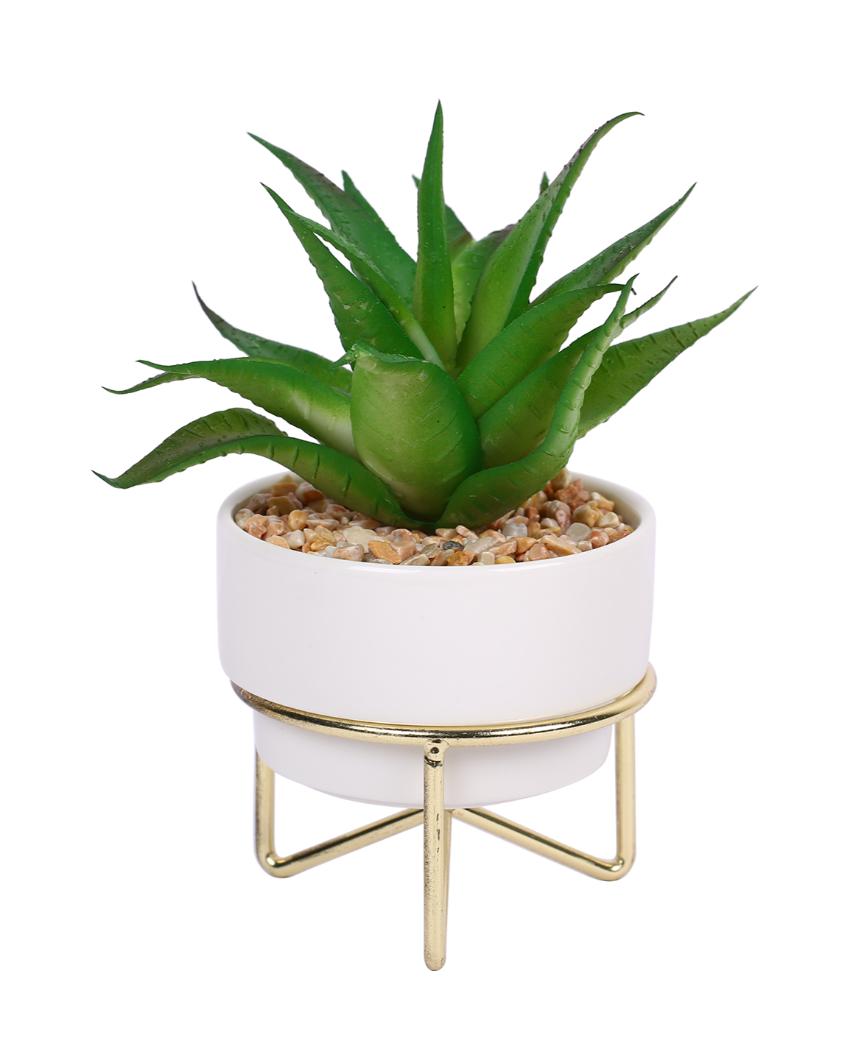 Contemporary Succulents Artificial Plant with Ceramic Pot & Metal Tripod Stand | 6 inches