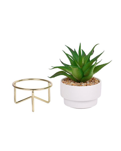 Contemporary Succulents Artificial Plant with Ceramic Pot & Metal Tripod Stand | 6 inches