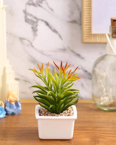 Elegant Succulents Artificial Plant with Ceramic Pot | 6 inches