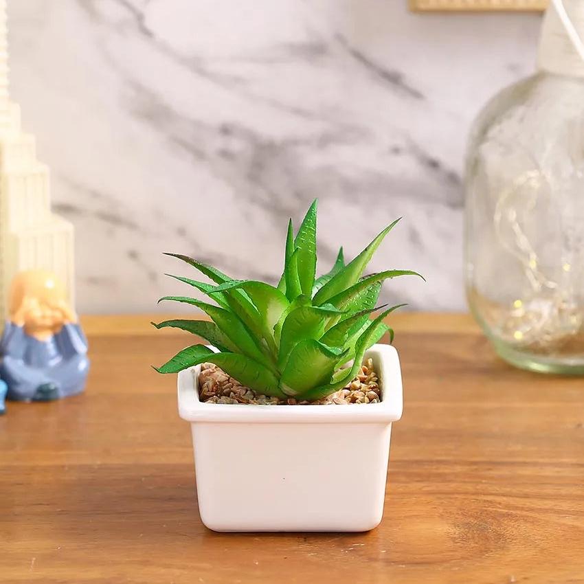 Chic Succulents Artificial Plant with Ceramic Pot | 5 inches