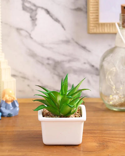 Chic Succulents Artificial Plant with Ceramic Pot | 5 inches