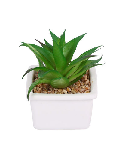 Chic Succulents Artificial Plant with Ceramic Pot | 5 inches