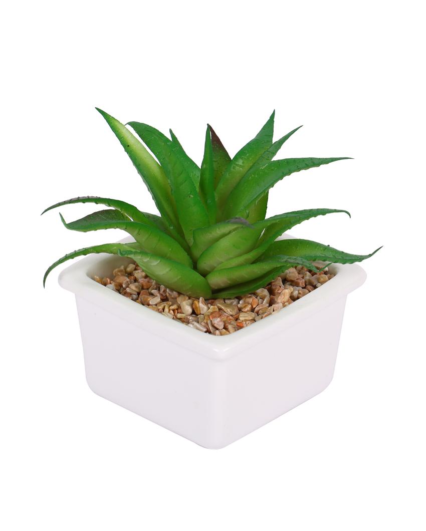 Chic Succulents Artificial Plant with Ceramic Pot | 5 inches