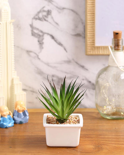 Stylish Succulents Artificial Plant with Ceramic Pot | 5 inches