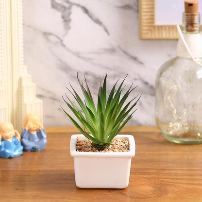 Stylish Succulents Artificial Plant with Ceramic Pot | 5 inches