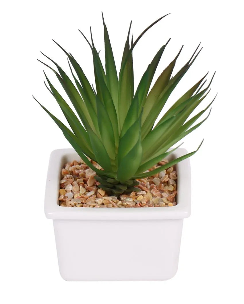 Stylish Succulents Artificial Plant with Ceramic Pot | 5 inches