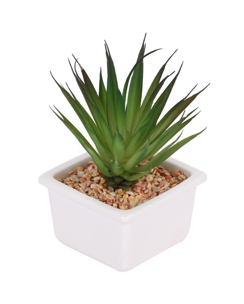 Stylish Succulents Artificial Plant with Ceramic Pot | 5 inches