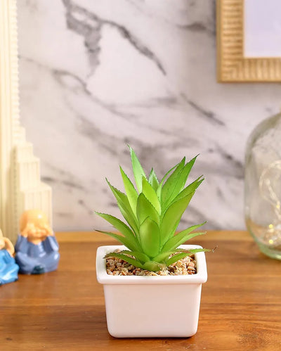 Refined Succulents Artificial Plant with Ceramic Pot | 6 inches