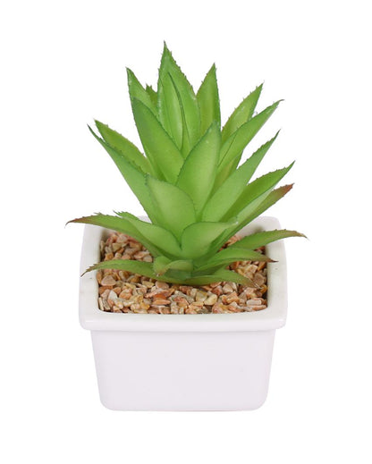 Refined Succulents Artificial Plant with Ceramic Pot | 6 inches