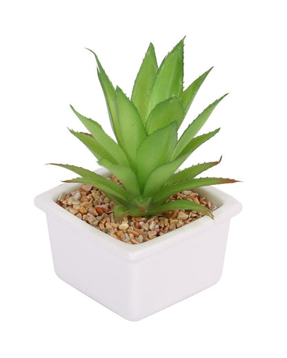 Refined Succulents Artificial Plant with Ceramic Pot | 6 inches