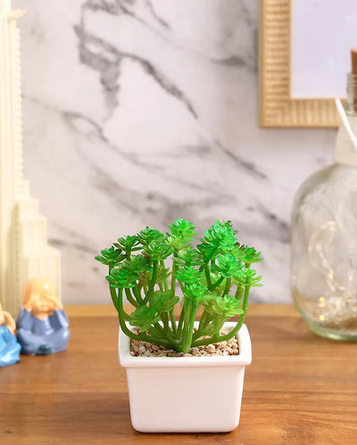 Sophisticated Succulents Artificial Plant with Ceramic Pot | 6 inches