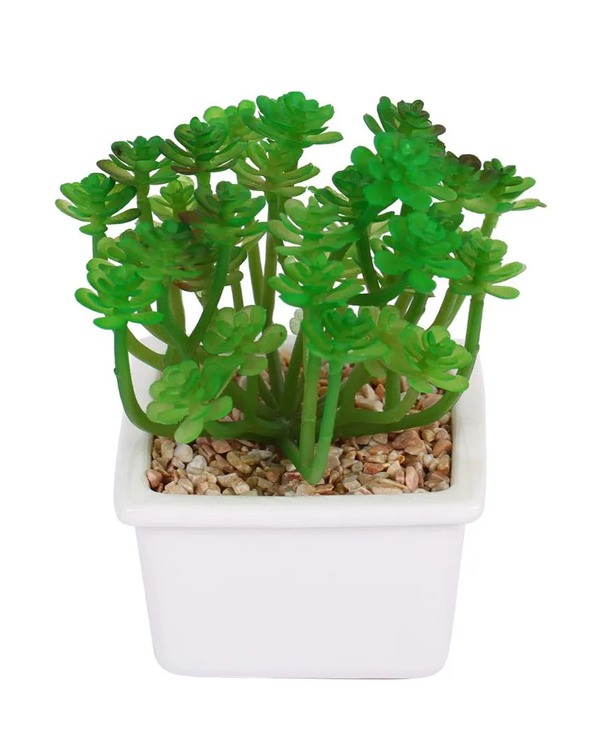 Sophisticated Succulents Artificial Plant with Ceramic Pot | 6 inches