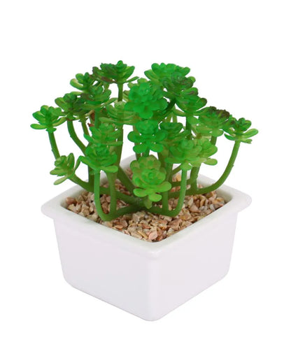 Sophisticated Succulents Artificial Plant with Ceramic Pot | 6 inches