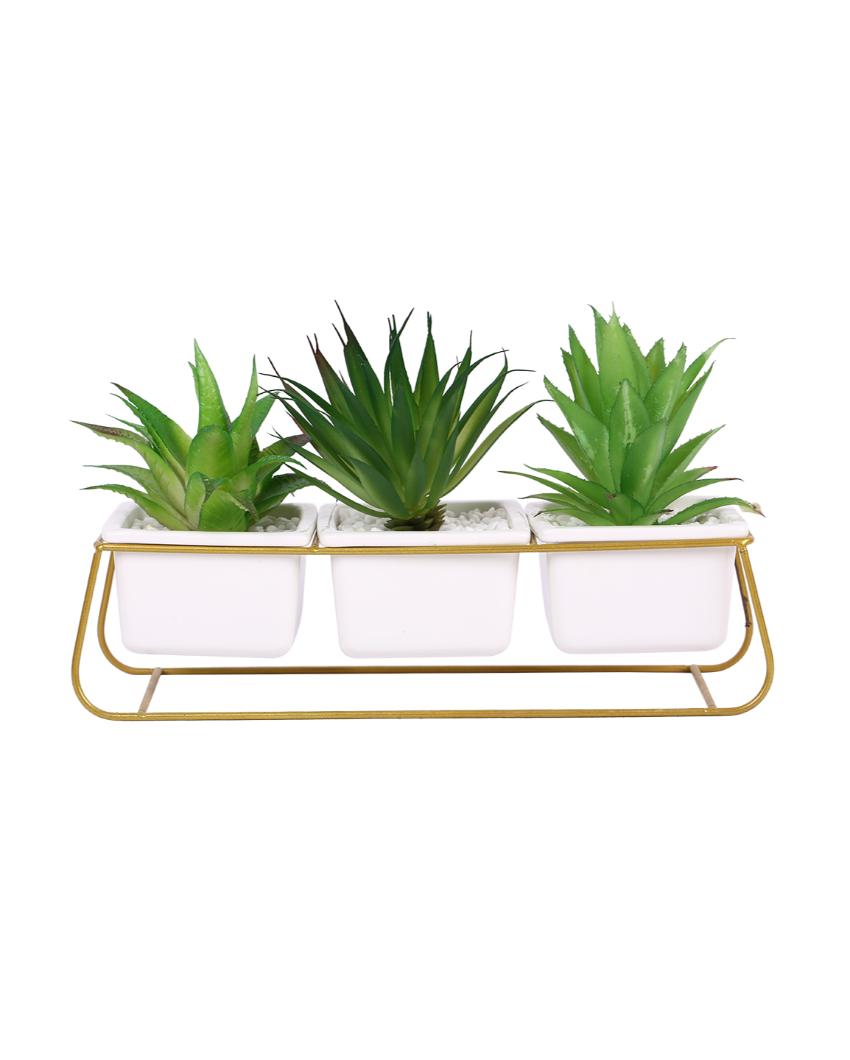 Chic Succulents Artificial Plant with Ceramic Pot & Metal stand | 6 inches