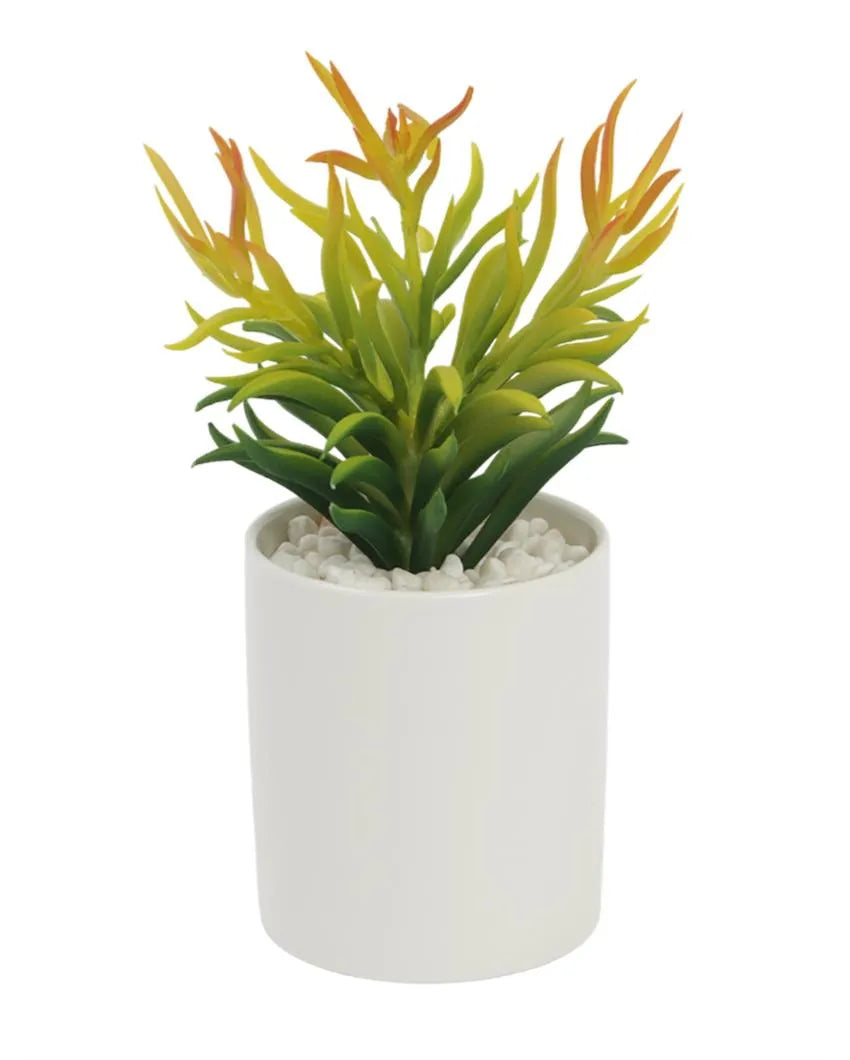 Rural Succulents Artificial Plant with Ceramic Pot & Metal Stand | 8 inches