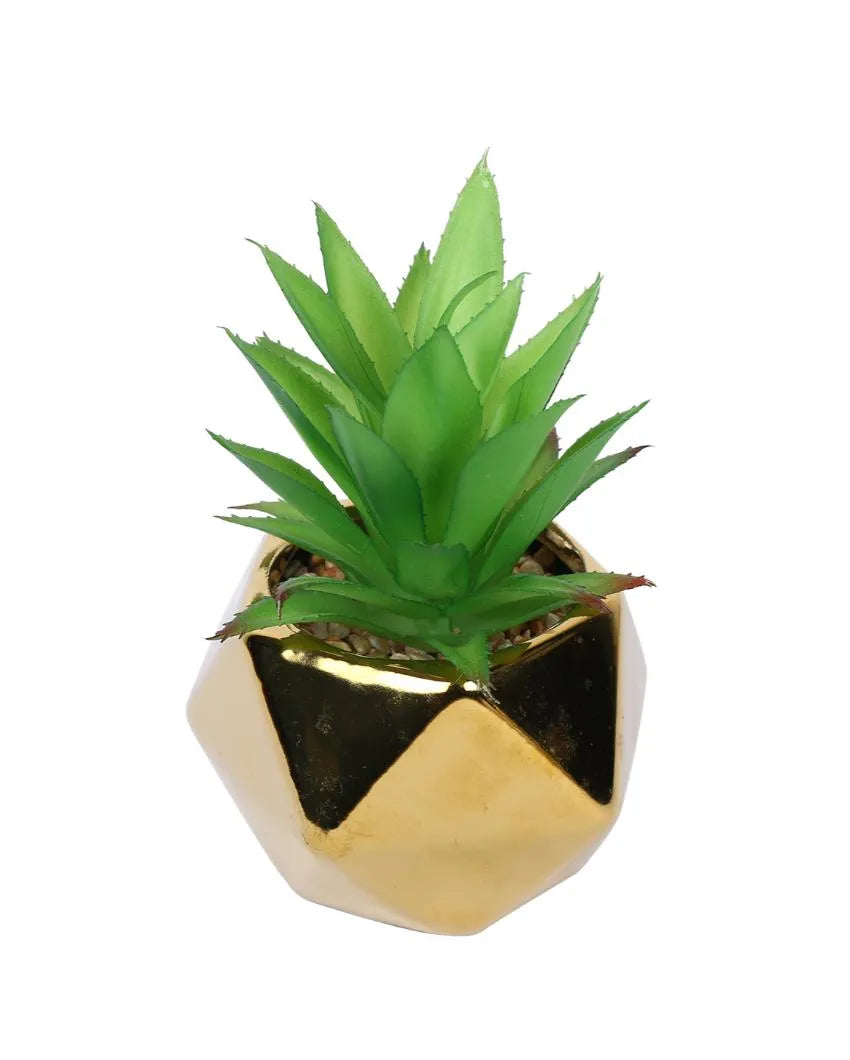 Classic Succulents Artificial Plant with Ceramic Pot | 6 inches