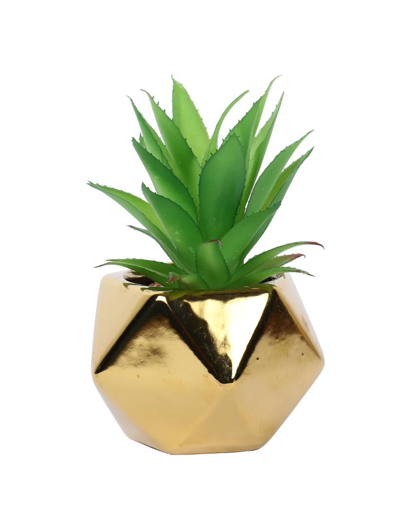 Classic Succulents Artificial Plant with Ceramic Pot | 6 inches