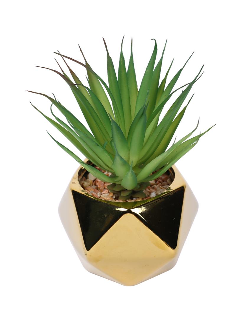 Timeless Succulents Artificial Plant with Ceramic Pot | 6 inches