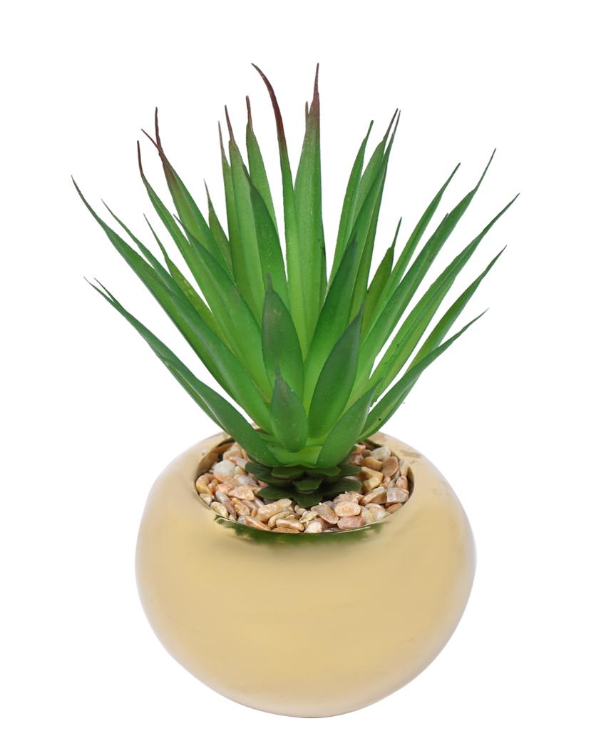 Traditional Succulents Artificial Plant with Ceramic Pot | 6 inches