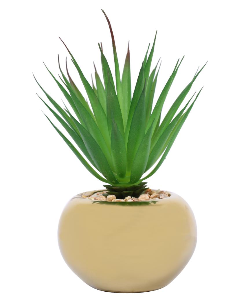 Traditional Succulents Artificial Plant with Ceramic Pot | 6 inches