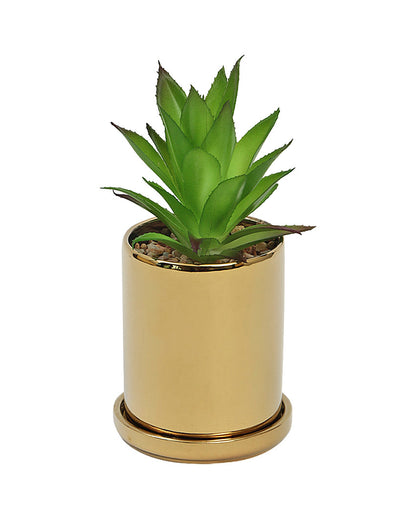 Playful Succulents Artificial Plant with Ceramic Pot & Coaster | 7 inches