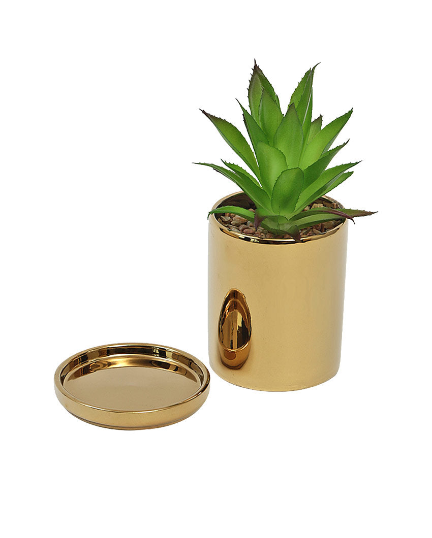 Playful Succulents Artificial Plant with Ceramic Pot & Coaster | 7 inches