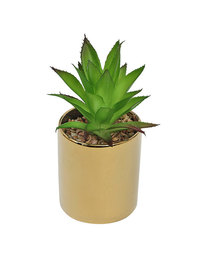 Playful Succulents Artificial Plant with Ceramic Pot & Coaster | 7 inches