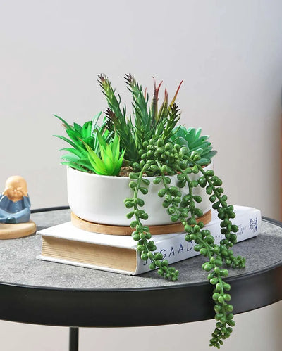 Beauty Succulents Artificial Plant with Ceramic Pot & Wooden Coaster | 6 inches