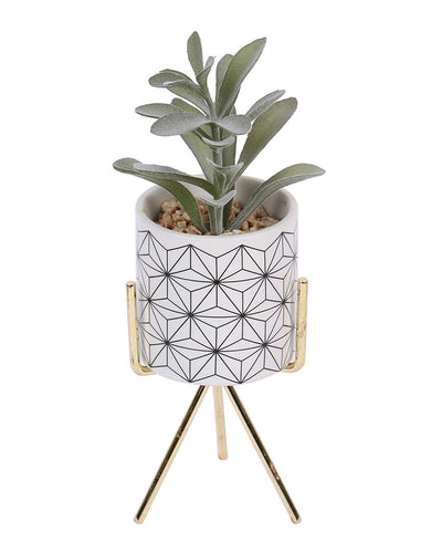 High-Rise Succulents Artificial Plant with Ceramic Pot & Metal Tripod Stand | 9 inches