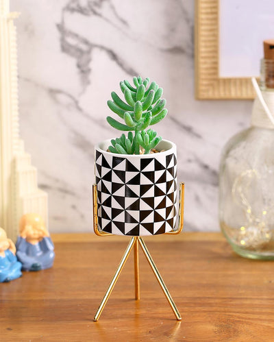 Delight Succulents Artificial Plant with Ceramic Pot & Metal Tripod Stand | 10 inches