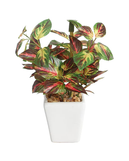 Ramo Wandering Jew Artificial Bonsai Plant with Ceramic Pot | 7 inches