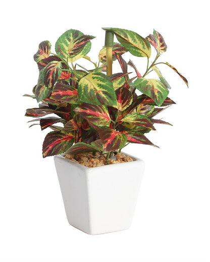 Ramo Wandering Jew Artificial Bonsai Plant with Ceramic Pot | 7 inches