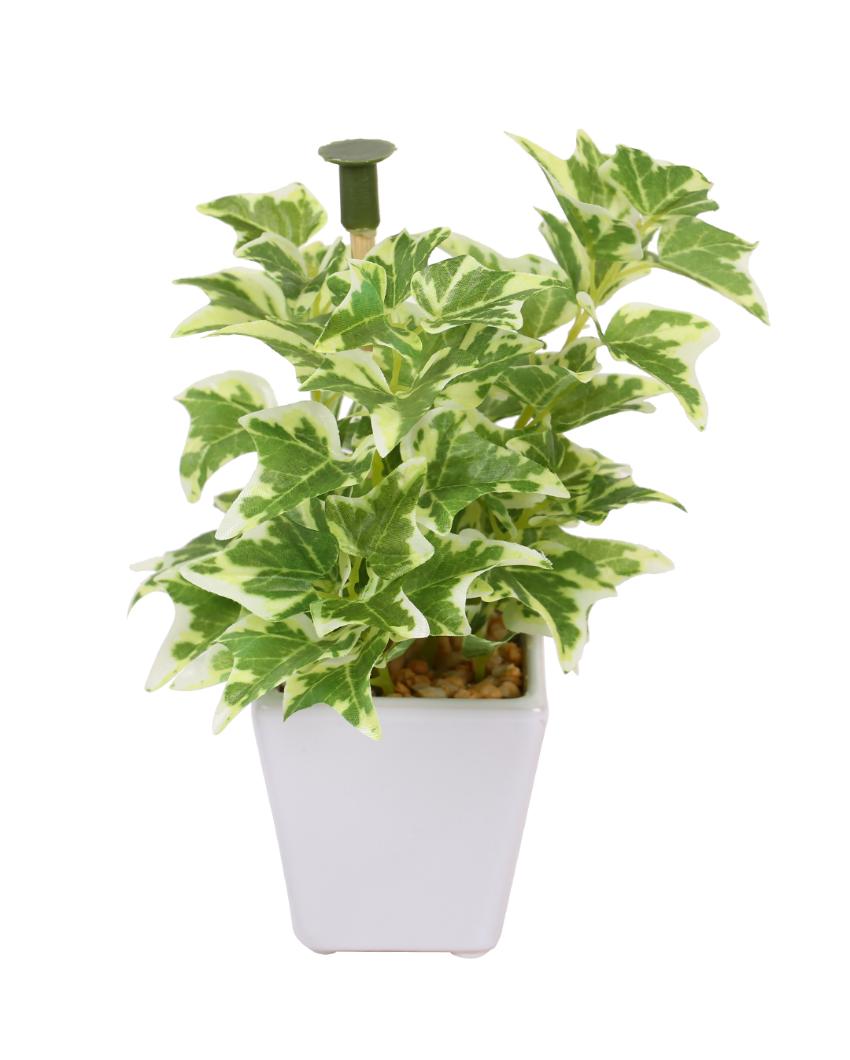 Helecho Wandering Jew Artificial Bonsai Plant with Ceramic Pot | 7 inches