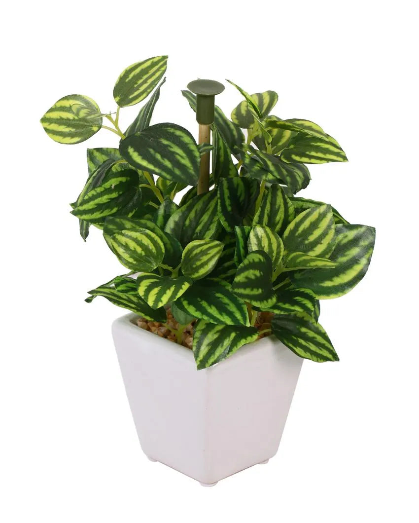 Brotes Wandering Jew Artificial Bonsai Plant with Ceramic Pot | 7 inches