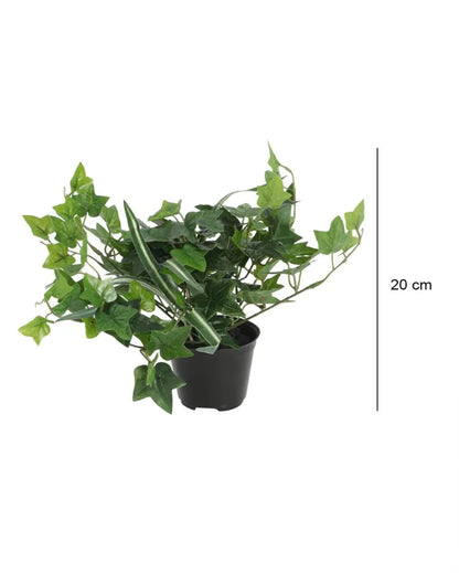 Iv Artificial Bonsai Plant with Ceramic Pot & Metal Stand | 8 inches