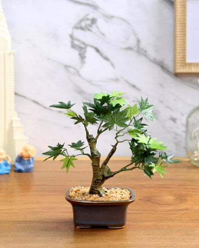 Japanese Maple Artificial Bonsai Plant with Ceramic Pot | 10 inches