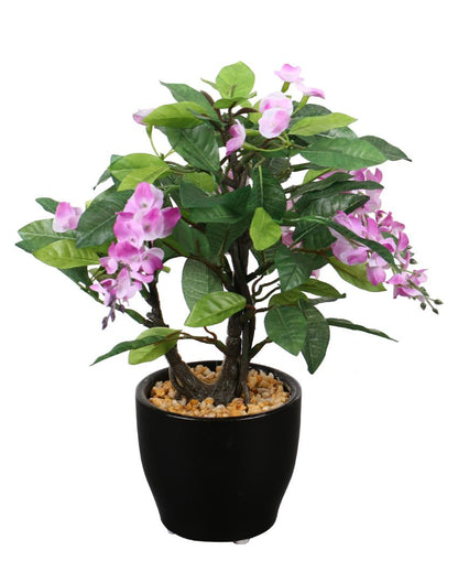 Wisteria Artificial Bonsai Plant with Ceramic Pot | 10 inches