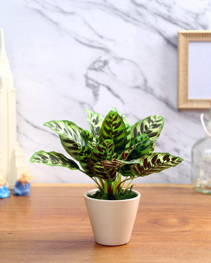 Dieffenbachia Artificial Bonsai Plant with Ceramic Pot | 10 inches